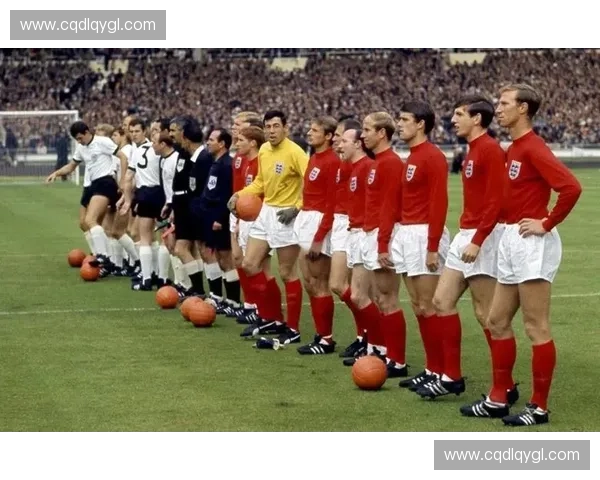 2008年世界杯回顾：激情与荣耀交织的足球盛宴