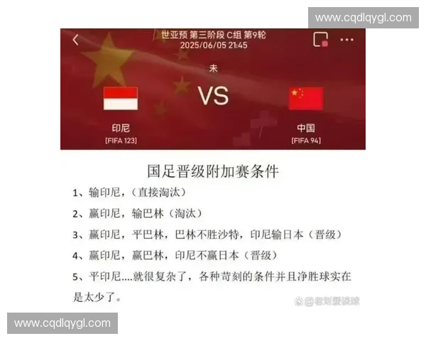 中国队世界杯预选赛全解析：备战策略与出线希望深度剖析